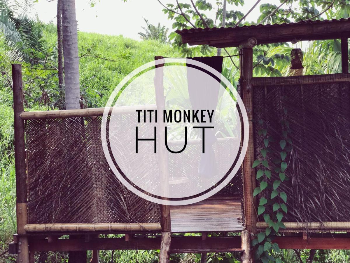 The Valley Tayrona Hostel- A Social Jungle Hostel El Zaino Exterior photo