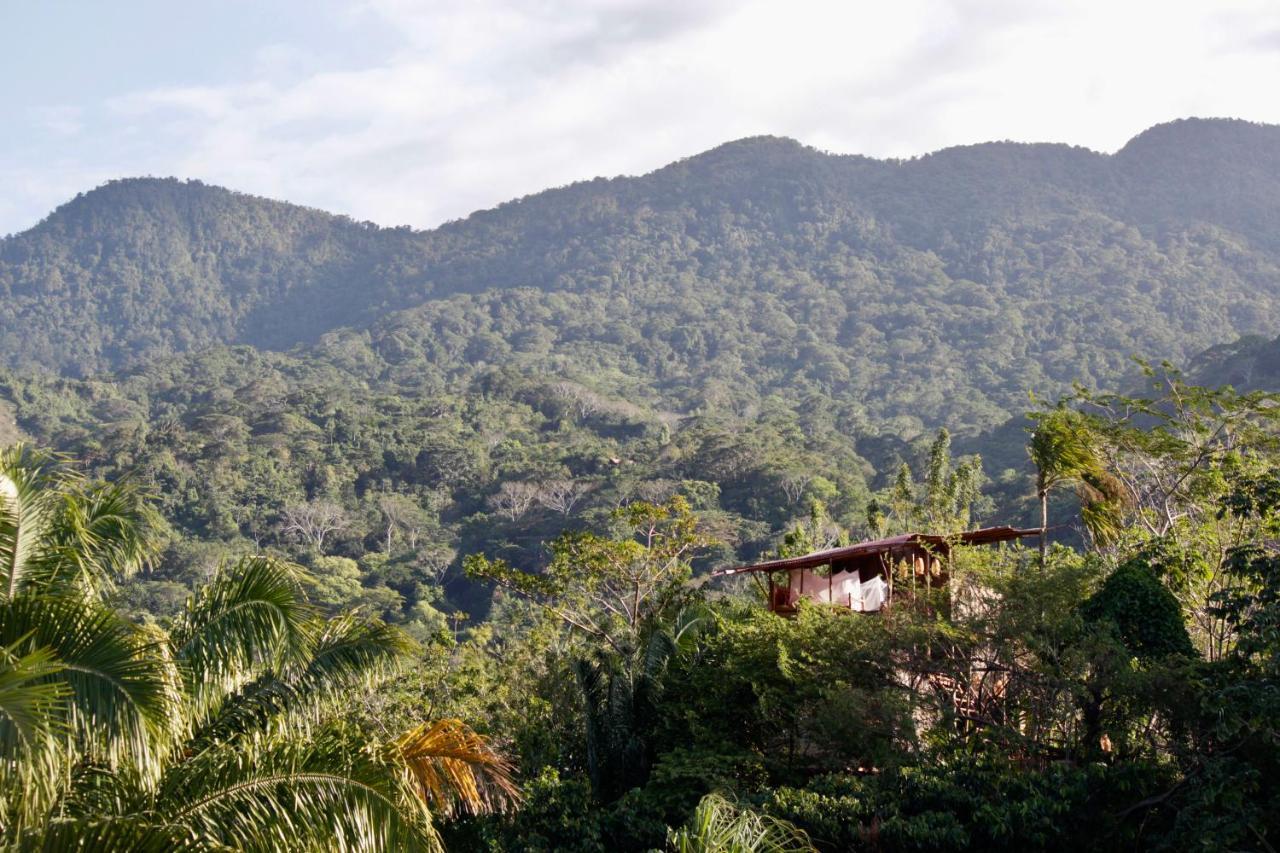 The Valley Tayrona Hostel- A Social Jungle Hostel El Zaino Exterior photo