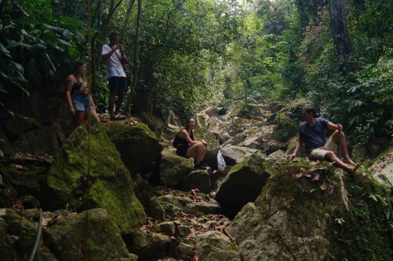 The Valley Tayrona Hostel- A Social Jungle Hostel El Zaino Exterior photo