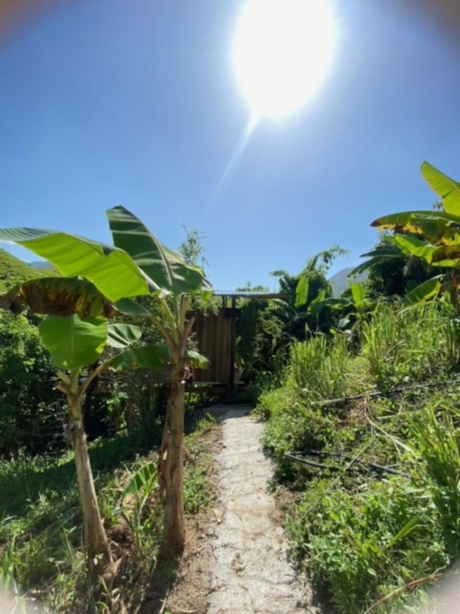 The Valley Tayrona Hostel- A Social Jungle Hostel El Zaino Exterior photo