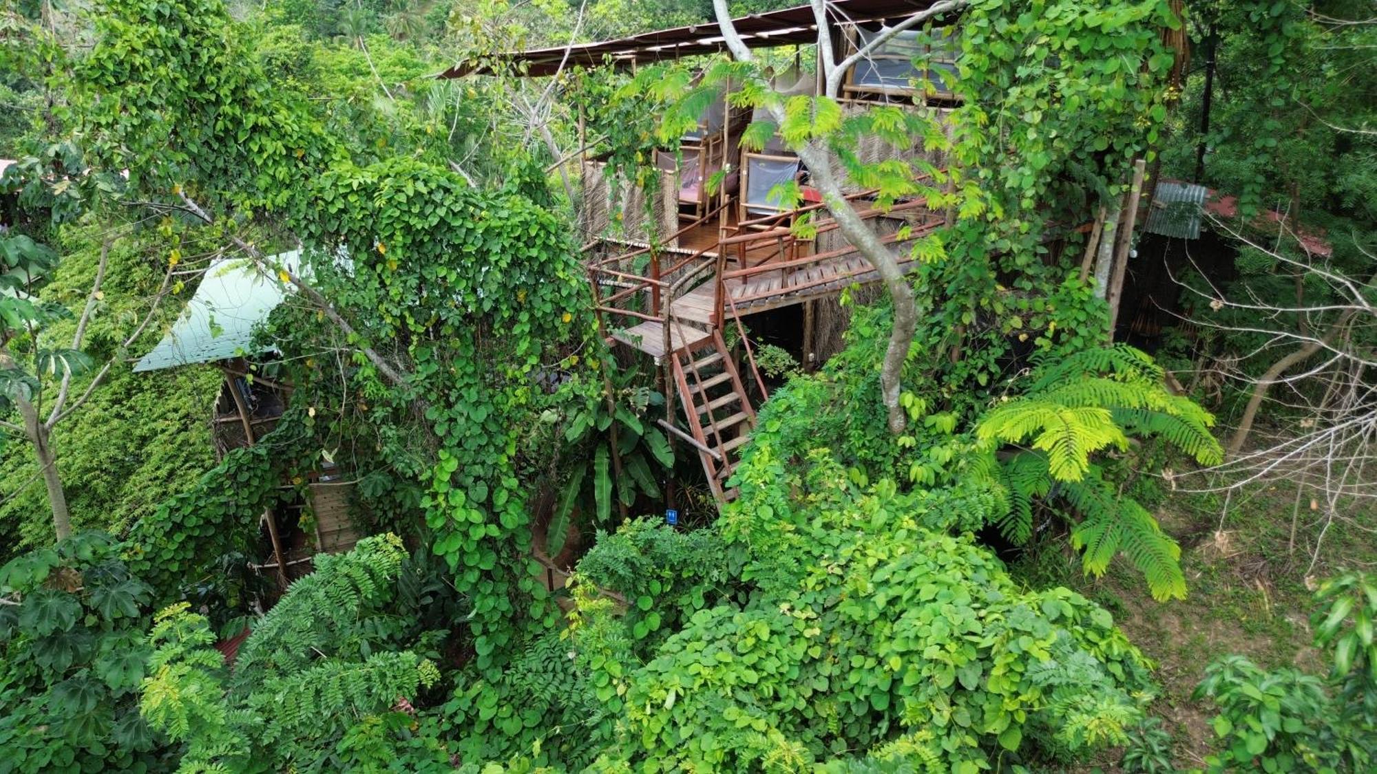 The Valley Tayrona Hostel- A Social Jungle Hostel El Zaino Exterior photo