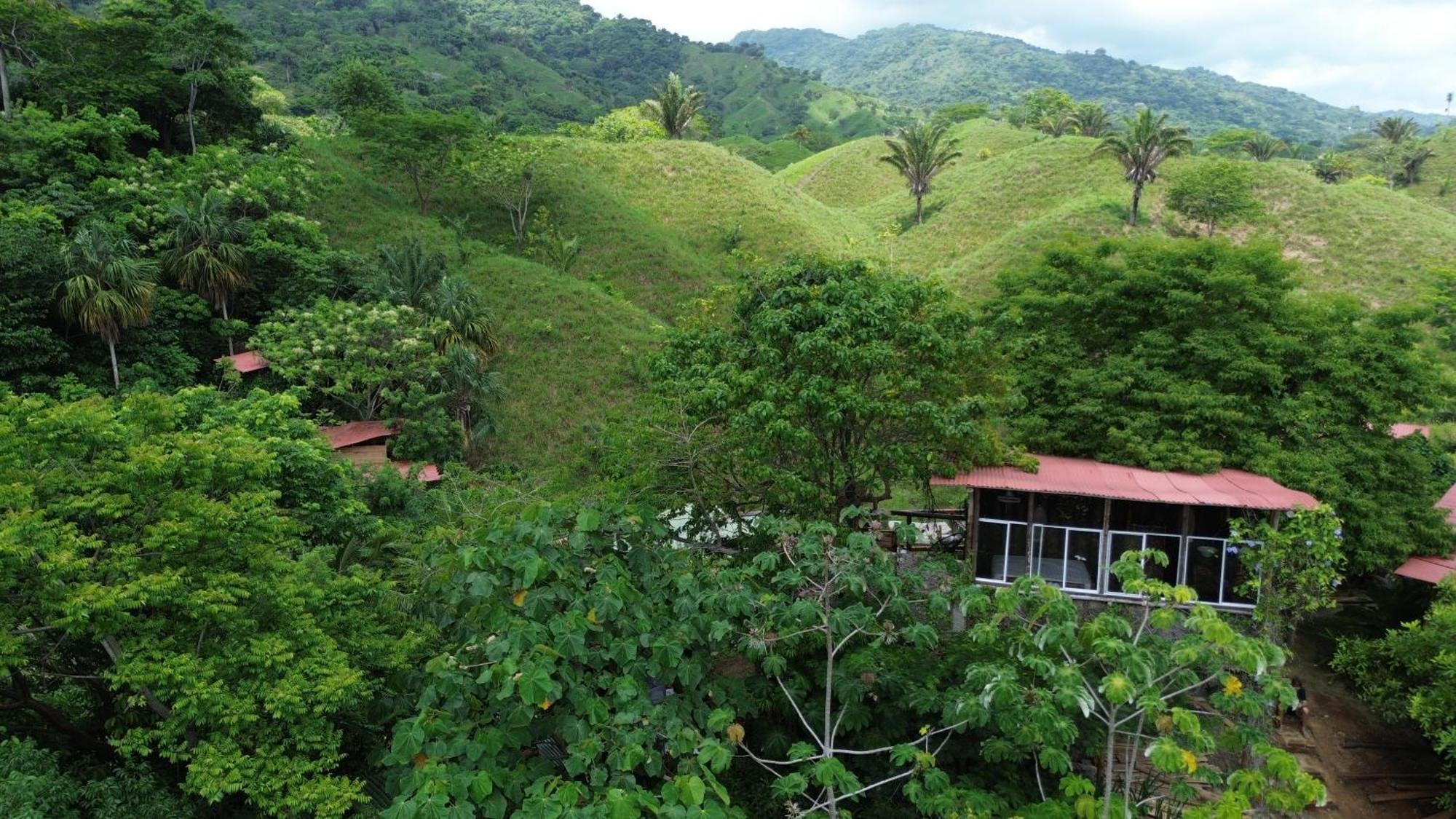 The Valley Tayrona Hostel- A Social Jungle Hostel El Zaino Exterior photo