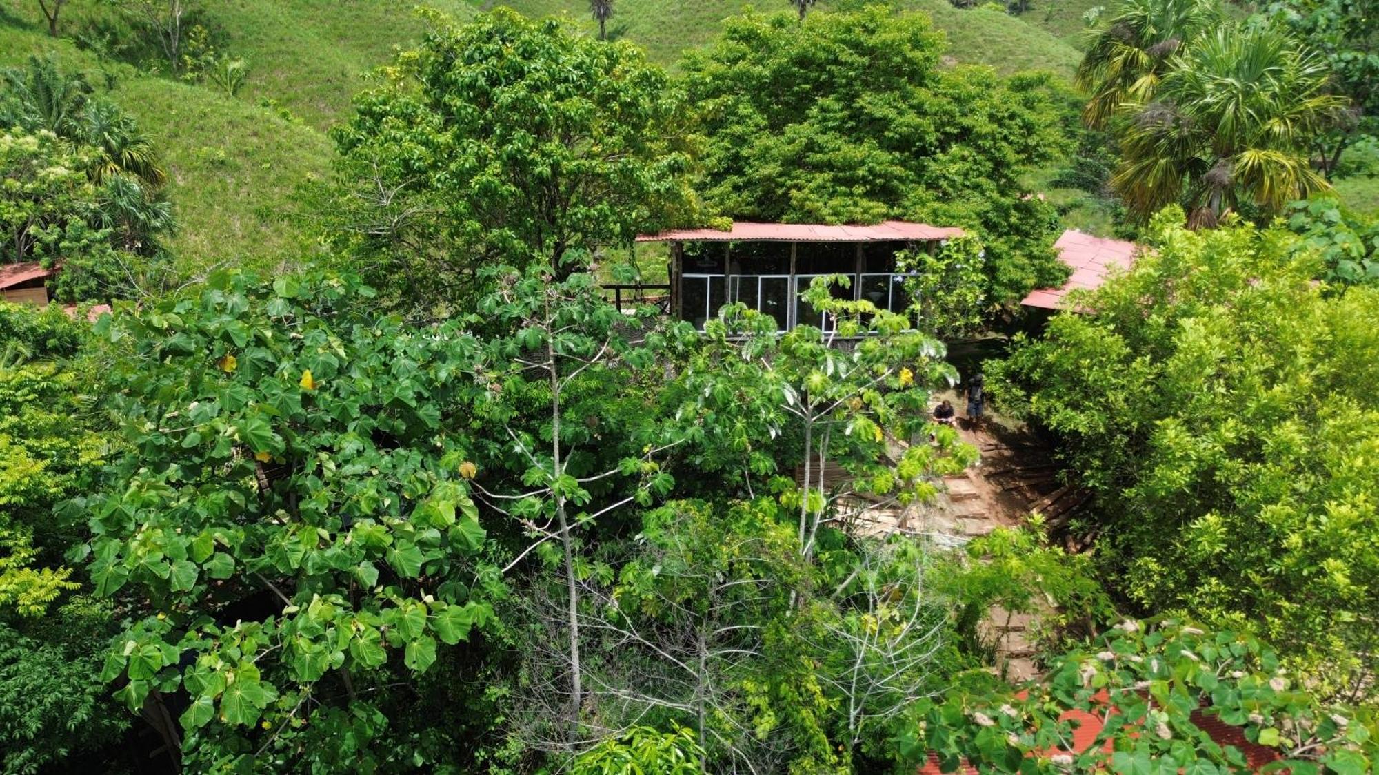 The Valley Tayrona Hostel- A Social Jungle Hostel El Zaino Exterior photo