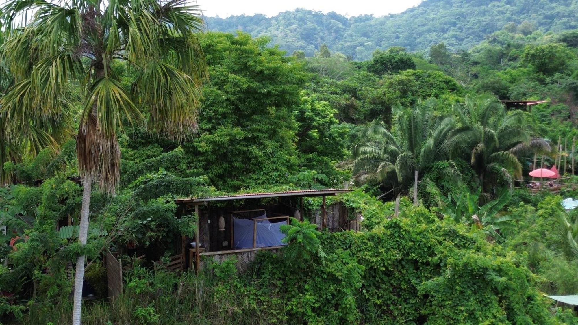 The Valley Tayrona Hostel- A Social Jungle Hostel El Zaino Exterior photo