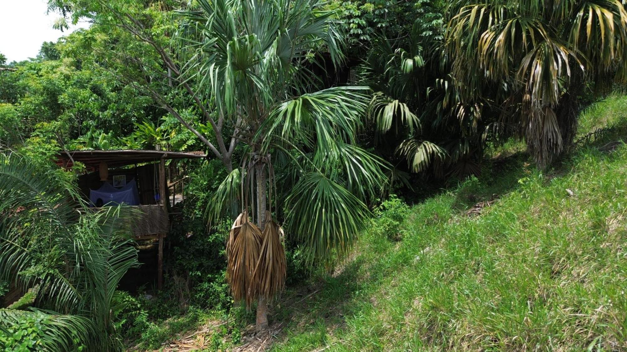 The Valley Tayrona Hostel- A Social Jungle Hostel El Zaino Exterior photo