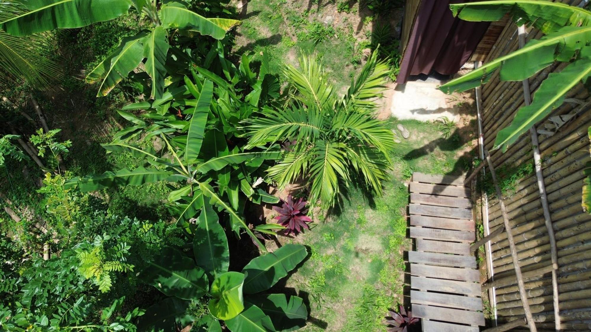 The Valley Tayrona Hostel- A Social Jungle Hostel El Zaino Exterior photo