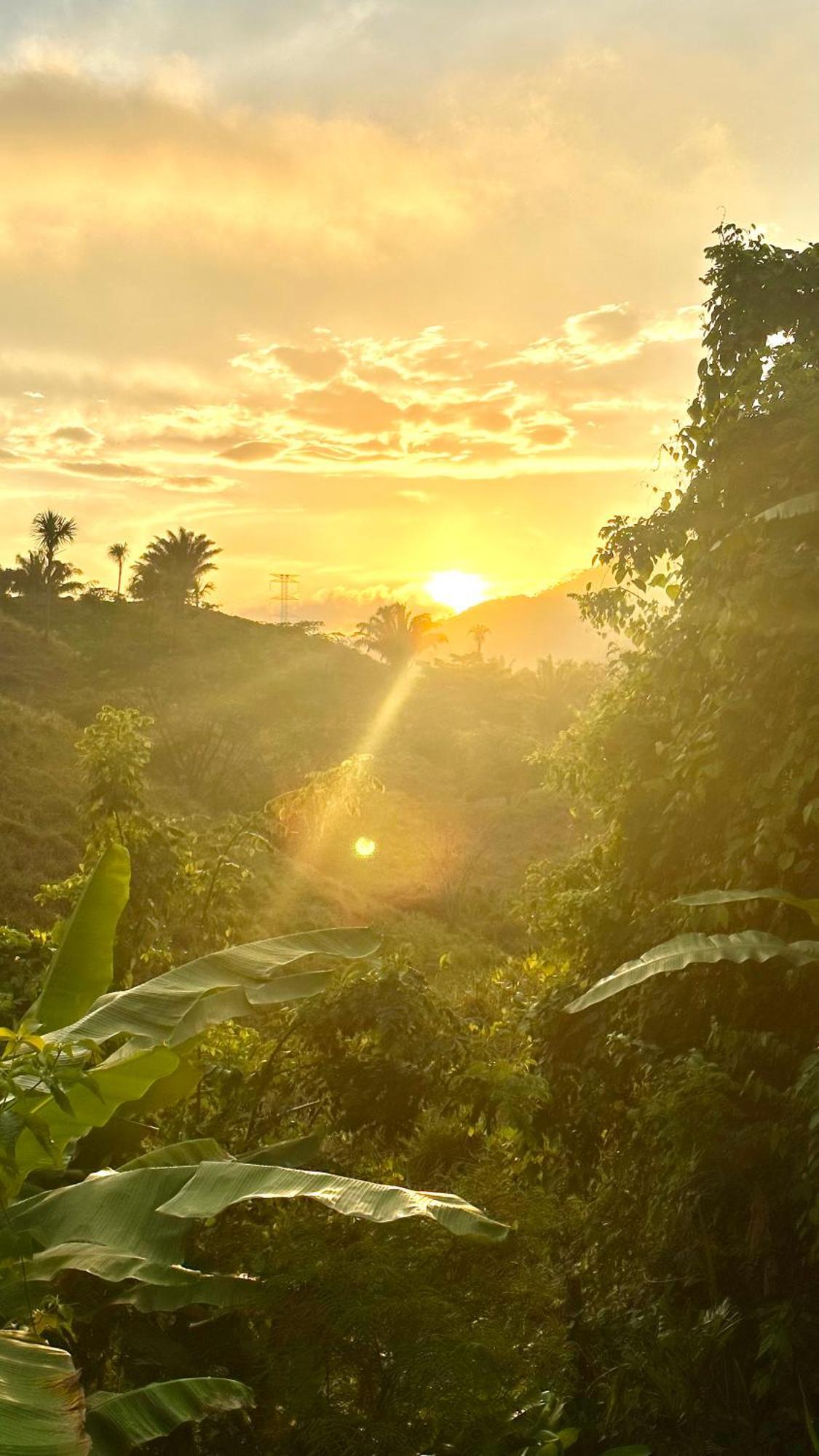 The Valley Tayrona Hostel- A Social Jungle Hostel El Zaino Exterior photo