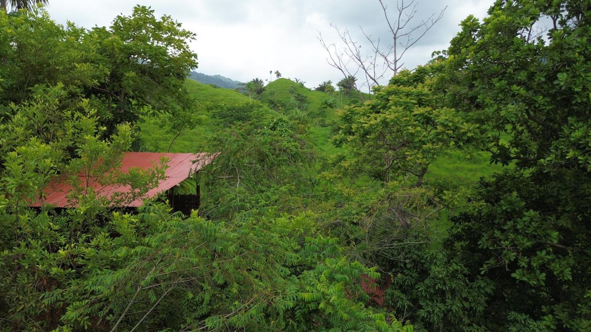 The Valley Tayrona Hostel- A Social Jungle Hostel El Zaino Exterior photo
