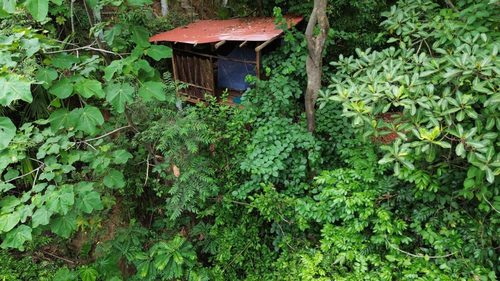 The Valley Tayrona Hostel- A Social Jungle Hostel El Zaino Exterior photo