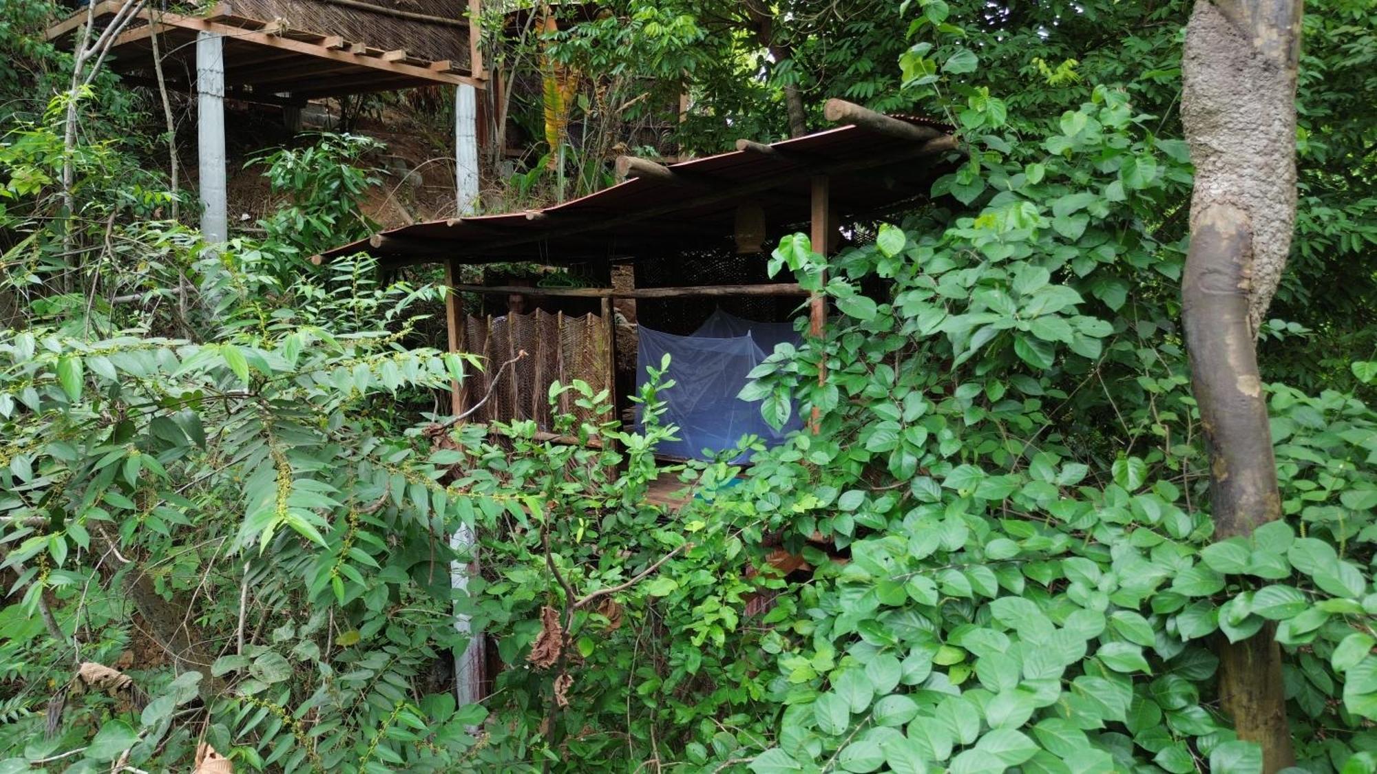 The Valley Tayrona Hostel- A Social Jungle Hostel El Zaino Exterior photo